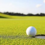 Residente de Willoughby registra hoyo en uno en Lost Nation Golf Course | Noticias de Buenaventura, Colombia y el Mundo