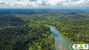 Establecimiento Público Ambiental dio inicio a estrategia de regeneración natural en el ecosistema de manglar de Papagayo | Noticias de Buenaventura, Colombia y el Mundo