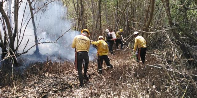 Operativo de extinción de incendio forestal
