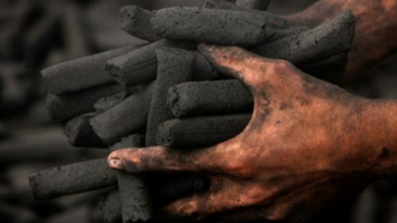Entrevista a Fenalcarbón: cuál es el panorama del consumo de carbón | Infraestructura | Economía