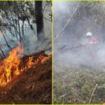 Caos ambiental en Nariño: Van 1.095 hectáreas destruidas y especies afectadas por incendios