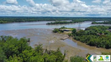 Comunidad y Autoridad Ambiental en Buenaventura unen esfuerzos para abordar la presencia de caimanes en el barrio El Jardín | Noticias de Buenaventura, Colombia y el Mundo