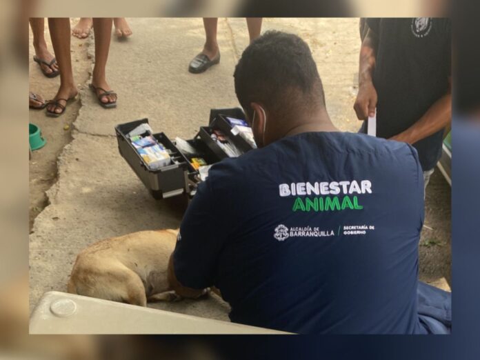 ¿Por venganza?, envenenaron a una perra que recientemente tuvo cría, en Barranquilla