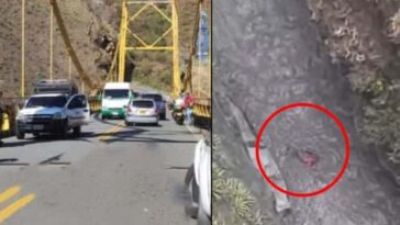 El hombre de 37 años, perdió la vida luego de caer al abismo en un vehículo desde el puente Juanambú, en Buesaco.