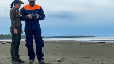 Realizan estudios para determinar el riesgo por tsunami en las playas de Buenaventura | Noticias de Buenaventura, Colombia y el Mundo