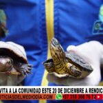 EPA Y RENDICIÓN DE CUENTA | Noticias de Buenaventura, Colombia y el Mundo