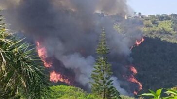 Incendio en Santander: videos de la emergencia en autopista Floridablanca - Piedecuesta | Regiones | Economía