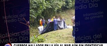 CUERPOS EN LA VÍA AL MAR | Noticias de Buenaventura, Colombia y el Mundo