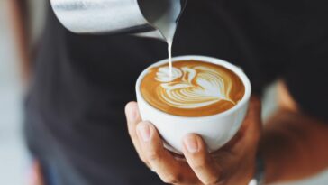 Los científicos creen haber rastreado los granos del café de la mañana hace 600.000 años | Noticias de Buenaventura, Colombia y el Mundo