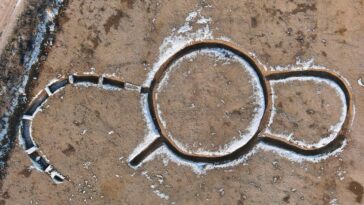 Descubrimiento 'sin precedentes' de un misterioso monumento circular cerca de dos necrópolis encontradas en Francia | Noticias de Buenaventura, Colombia y el Mundo