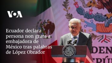 Ecuador declara persona non grata a embajadora de México tras palabras de López Obrador | Noticias de Buenaventura, Colombia y el Mundo