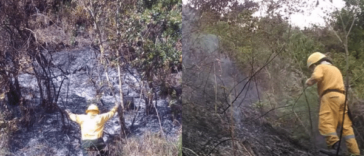 Bomberos de Pasto logran controlar 4 incendios forestales en menos de 24 horas este fin de semana. Uno de ellos dejó la perdía de seis hectáreas.