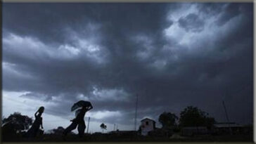 Se esperan tormentas severas en Gauteng, Limpopo y Mpumalanga | Noticias de Buenaventura, Colombia y el Mundo