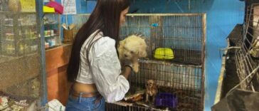 Sanción a un establecimiento comercial de animales en Armenia