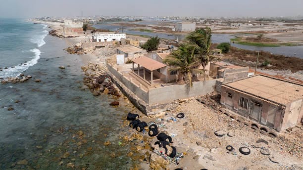 Senegal logra una incautación récord de cocaína en el interior de la ciudad de Kidira, en el este del país | Noticias de Buenaventura, Colombia y el Mundo