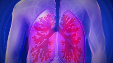 ¿Puede la perfusión regional normotérmica aumentar el número de pacientes que reciben trasplantes de pulmón? | Noticias de Buenaventura, Colombia y el Mundo